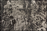bermuda_rock