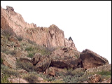 gg_0034
