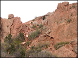 gg_0052